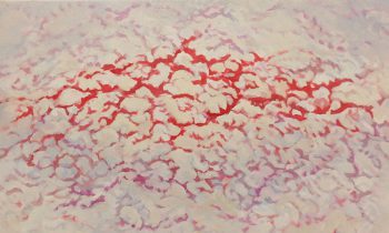 「No.945 亀甲状クラック」キャンバスに油彩　M8