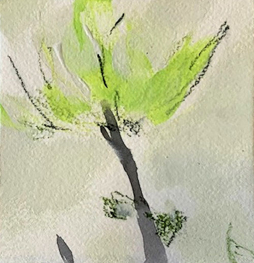 「四月ー芽吹きdrawing2」　アルシュ紙にアクリル、墨、パステル、色鉛筆　12×12cm　2020