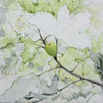 「十月ー無花果2」綿布にアクリル、パステル、色鉛筆、墨 24×24cm 2020