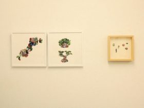 （左）「あつまれハナハナ」（右）「Bonsai ベイベー」