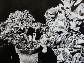 「高いところ」（部分）