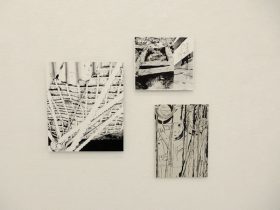 （左から）「Fold」「ロス」「当家」