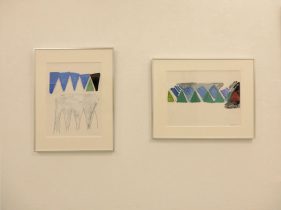 （左）「けしき#d21-7」（右）「けしき#d21-3」