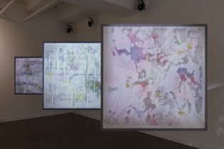 （手前から）「swop 朝顔 1」「swop 朝顔 2」「swop ful 2」（撮影：坂田峰夫）