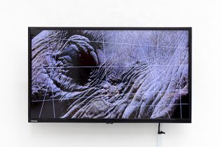 「象に線を引く」フルHDビデオ、ディスプレイ　4分22秒　2022