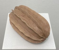 「untitled」木　60×70×115mm　2021