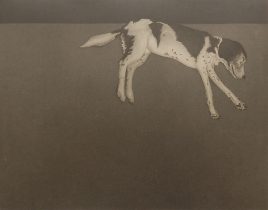 「お昼寝Q」エッチング、アクアチント 365×465mm 2022