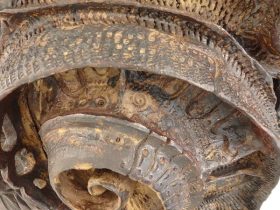 「誇大魚」（部分）