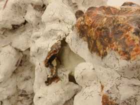 「纏綿するように」（部分）