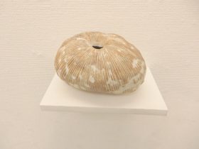 「流線」 陶　2022