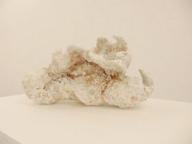 「綿帽子」 陶、陶粉　220×400×200mm　2022