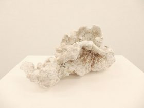 「綿帽子」 陶、陶粉　220×400×200mm　2022