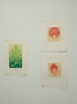 （左）「線状花序」（右上下）「Little PINKS」