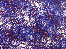 「蓄陽光装置A」（部分）