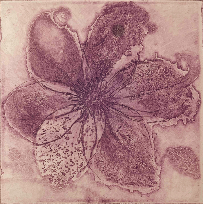 「Clematis(紫)」エッチング、アクアチント、ドライポイント、雁皮刷り　200×180mm　2021