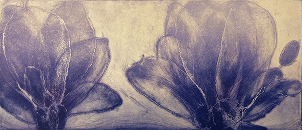 「Magnolia」アクアチント、ドライポイント、雁皮刷り　270×445mm　2023