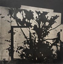 「Peach Black」フォトエッチング、アクアチント　390×390mm　2023