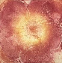 「Rosa Cocktail #2」エッチング、アクアチント、ドライポイント、雁皮刷り　36.5×36.5cm　2015