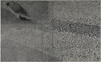 「道」和紙、墨、木版　183×382cm　2022