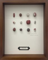 「memory specimen box 202404231123」エッチング、雁皮刷、 デジタルプリント　255×203×35mm　2024