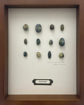 「memory specimen box 202404131645」エッチング、雁皮刷、 デジタルプリント　255×203×35mm　2024