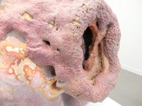 「求愛への入り口」 （部分）