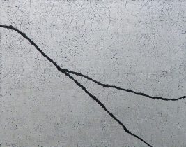 「枝のシーンmⅠ」50×65cm