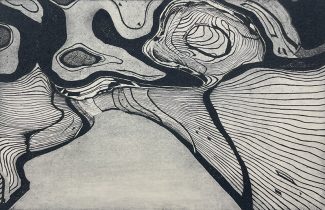 「Warp Ⅱ」エッチング、アクアチント　100×150mm　2023