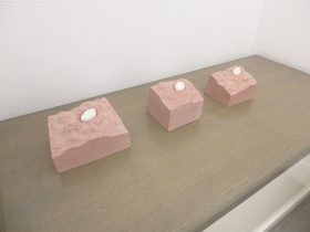 「たまごのなかで　おこっていること」