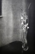 「浅い眠り」銅版　47.5×31.5cm　2025