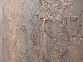 「杭」（部分）