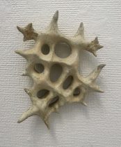 「フレークス-キラ2」陶土、釉薬　約157×120×30mm　2025